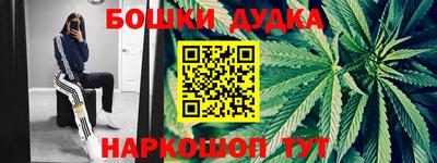 крисы Кулебаки