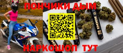 крисы Кулебаки
