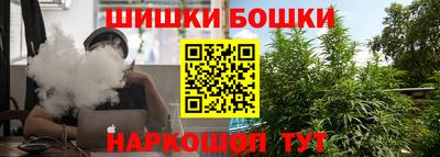 крисы Кулебаки