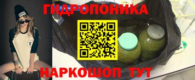 крисы Кулебаки
