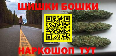 крисы Кулебаки