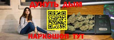 крисы Кулебаки