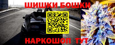 крисы Кулебаки