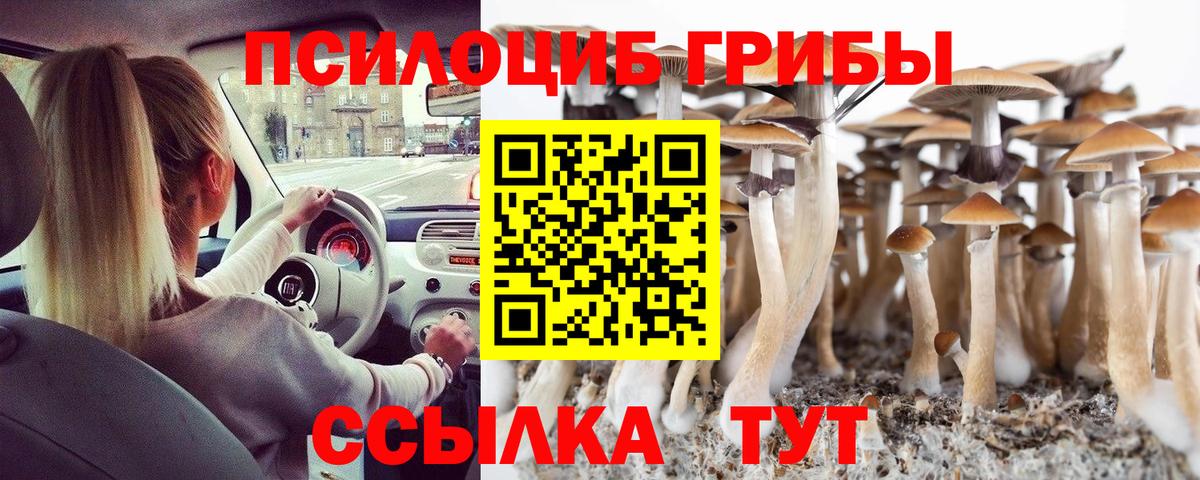 Галлюциногенные грибы Cubensis Учалы
