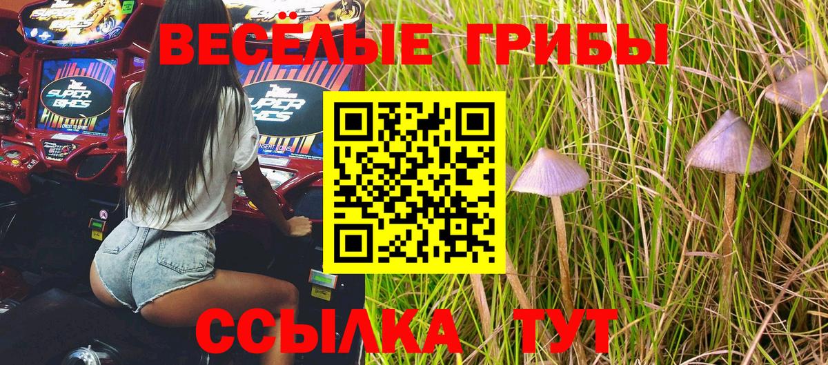 Псилоцибиновые грибы ЛСД  Вход с VPN  Учалы 
